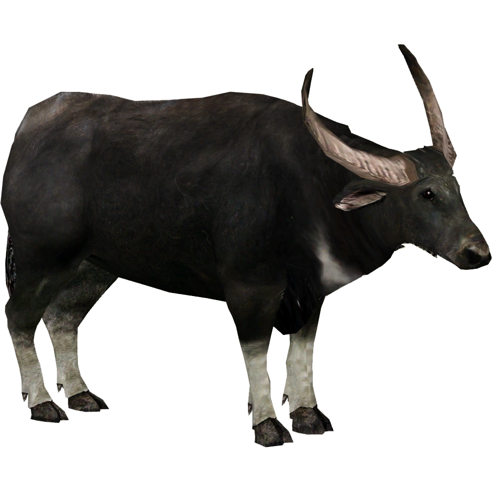 Wild Water Buffalo (Zoo Tycoon 2 Thailand) ZT2 Download Library Wiki