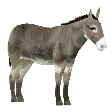 Balkan Donkey (Slice) | ZT2 Download Library Wiki | Fandom