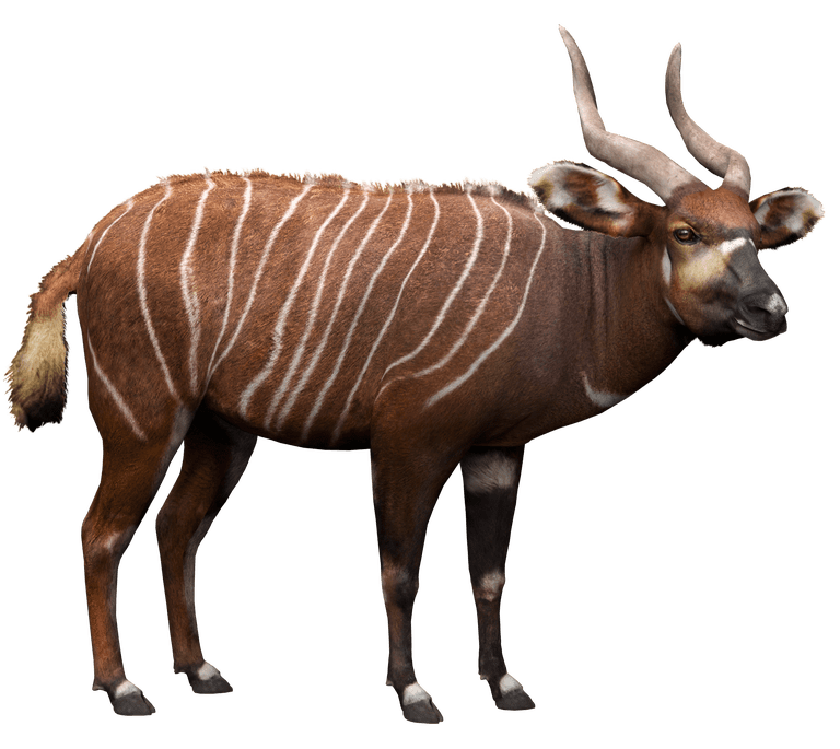 Zoo Tycoon 2, ZT2 Download Library Wiki