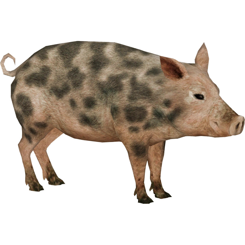 Domestic Pig (Tyranachu) | ZT2 Download Library Wiki | Fandom