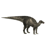 Edmontosaurus (Philly)
