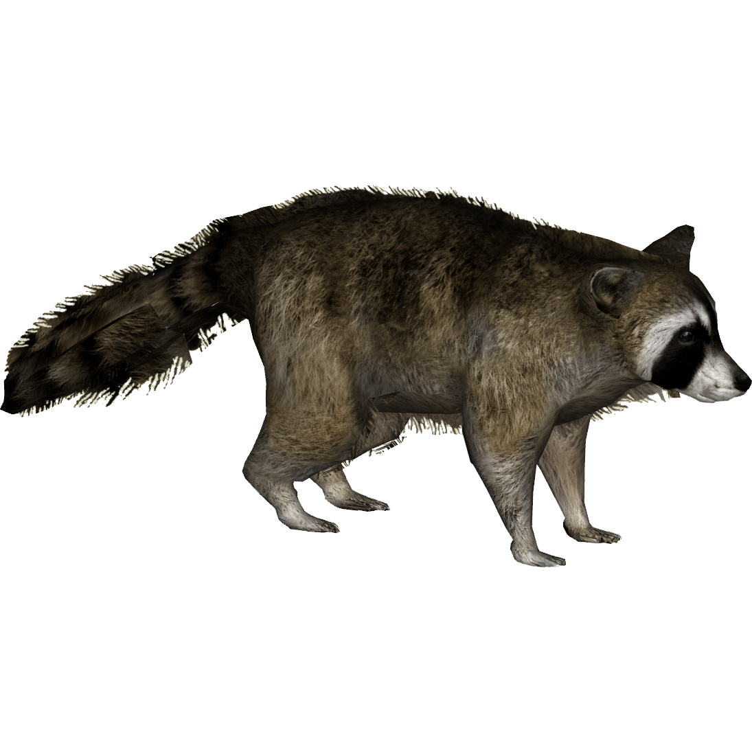 File:Rocky Raccoon mascot of MINIX 3.jpg - Wikipedia