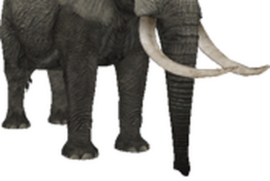 Giant elephants in an alternate reality (3022388)