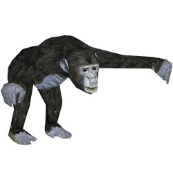 Siamang (Zoo Tycoon 2 World), ZT2 Download Library Wiki