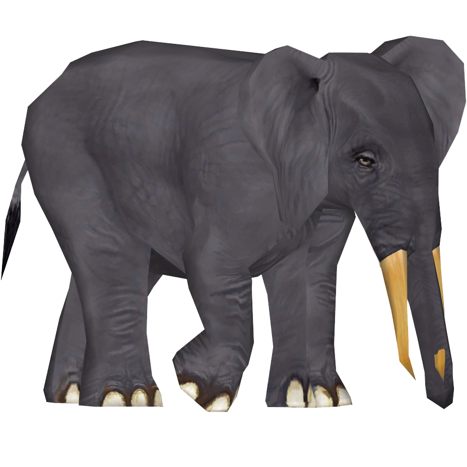 African Forest Elephant (Mjmannella) | ZT2 Download Library Wiki | Fandom