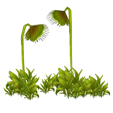 Giant Venus Flytrap (Z-Studio) | ZT2 Download Library Wiki | Fandom