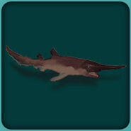 Goblin Shark