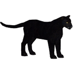Black Leopard (Maks) (234 KB) Black Leopard (Maks)