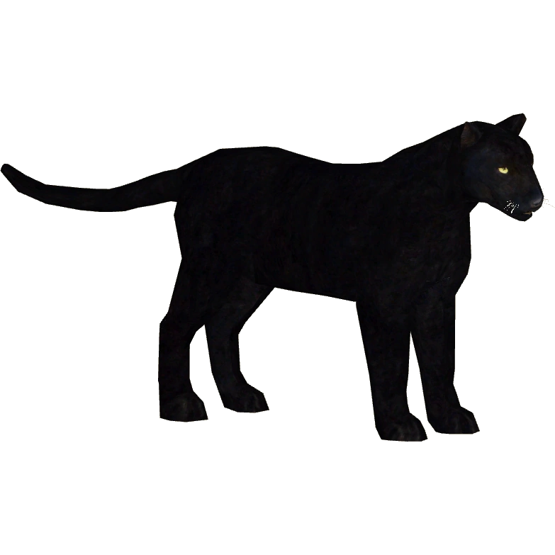 Black Leopard (Blue Fang) | ZT2 Download Library Wiki | Fandom