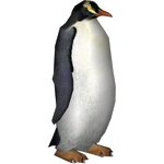 Erect-Crested Penguin (Csleesburg & Penguinman)