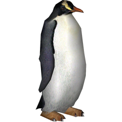 Category:Penguins | ZT2 Download Library Wiki | Fandom