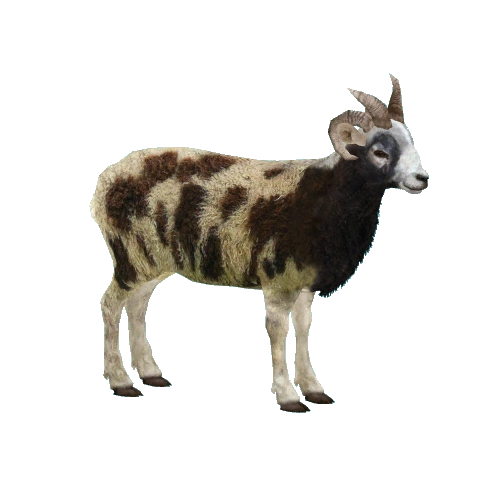 Jacob Sheep (Milchman, Platypus, RazvanM & Thom) | ZT2 Download