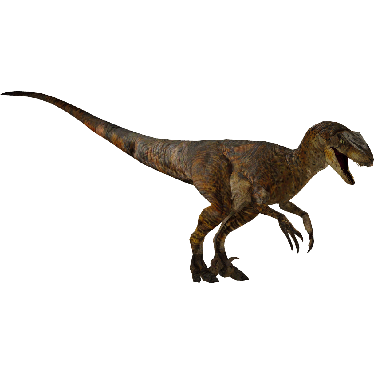 Jurassic Velociraptor Zoo Tycoon 2 Thailand Zt2 Download Library Wiki Fandom - velociraptors zoo tycoon roblox
