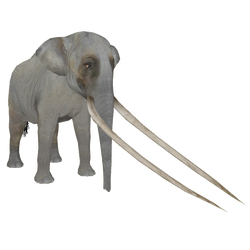 Category:Extinct Elephants | ZT2 Download Library Wiki | Fandom