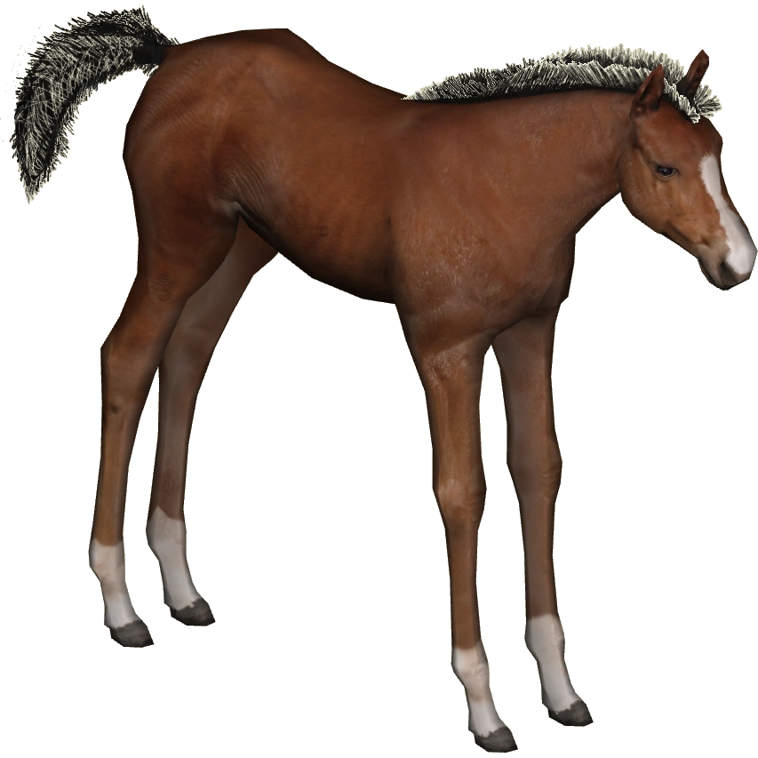 Arabian Horse (RiasCreations) | ZT2 Download Library Wiki | Fandom