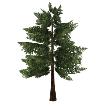 Chinese Yew (Fauna) | ZT2 Download Library Wiki | Fandom