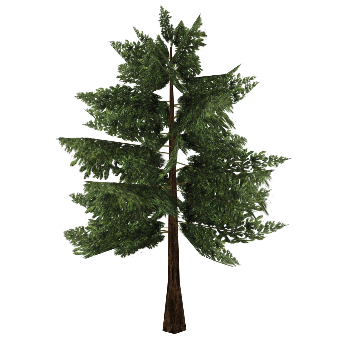 Chinese Yew (Fauna) | ZT2 Download Library Wiki | Fandom