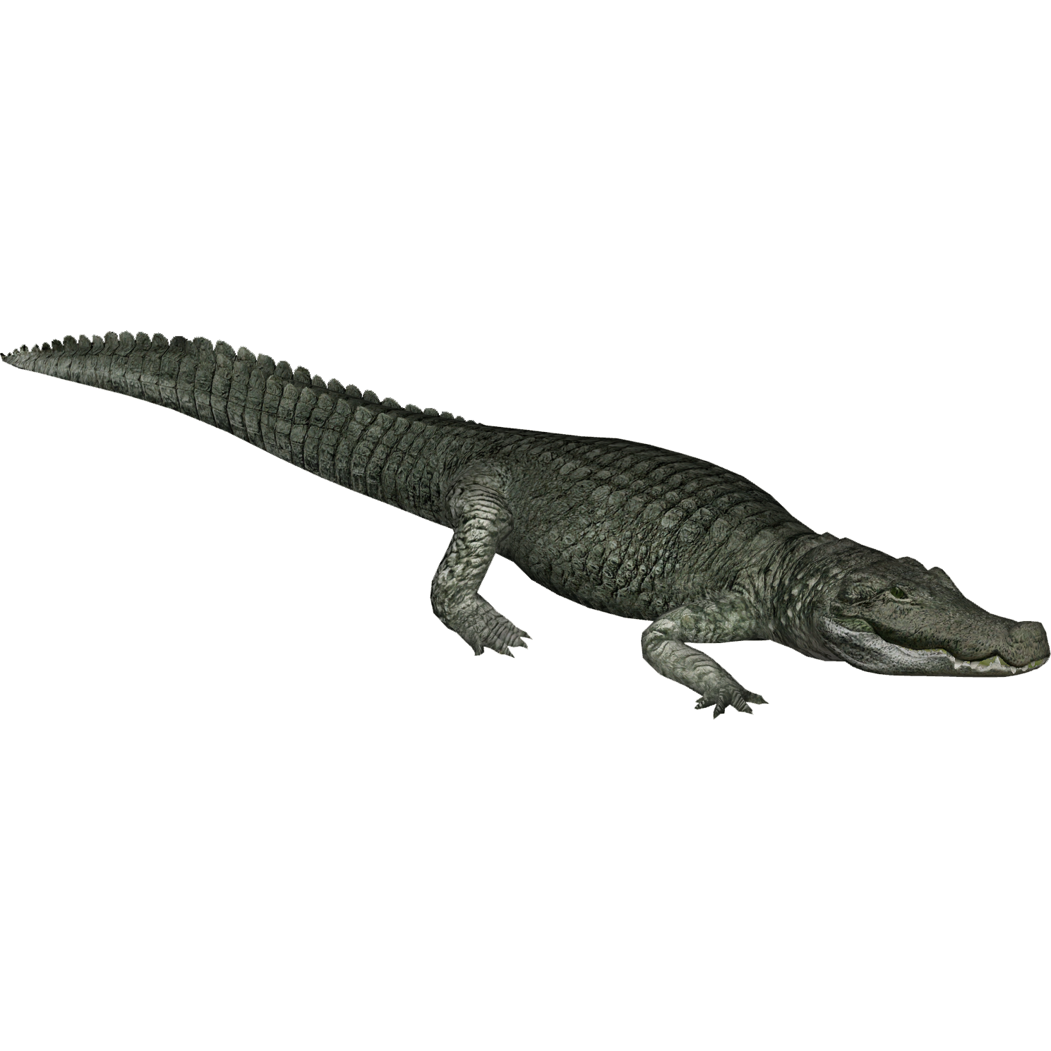 Deinosuchus Riograndensis - New Species (1.12) at Planet Zoo Nexus