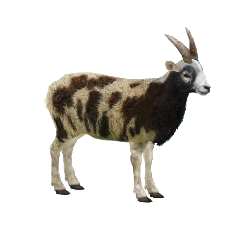 Jacob Sheep (Milchman, Platypus, RazvanM & Thom) | ZT2 Download