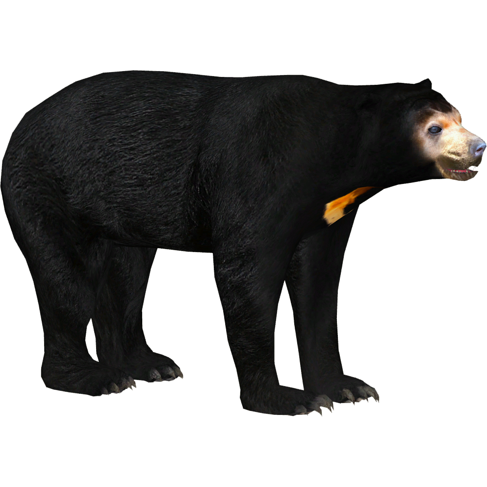 タマゴラス BEAR LION SQUIRREL plain message Squirrels (Masha the and Bear) | The New Parody Wiki | Fandom