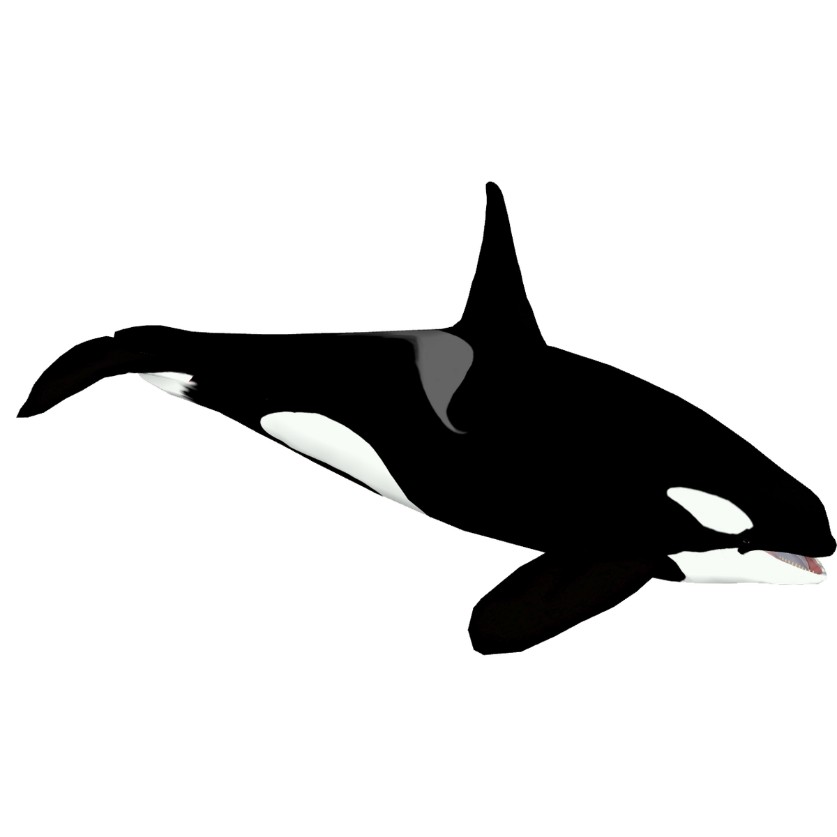 North Atlantic Type 1 Orca (ObsidianAngst) | ZT2 Download Library 