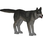 Dire Wolf (JohnVM)