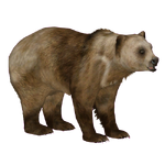 African Agriotherium (Tamara Henson)