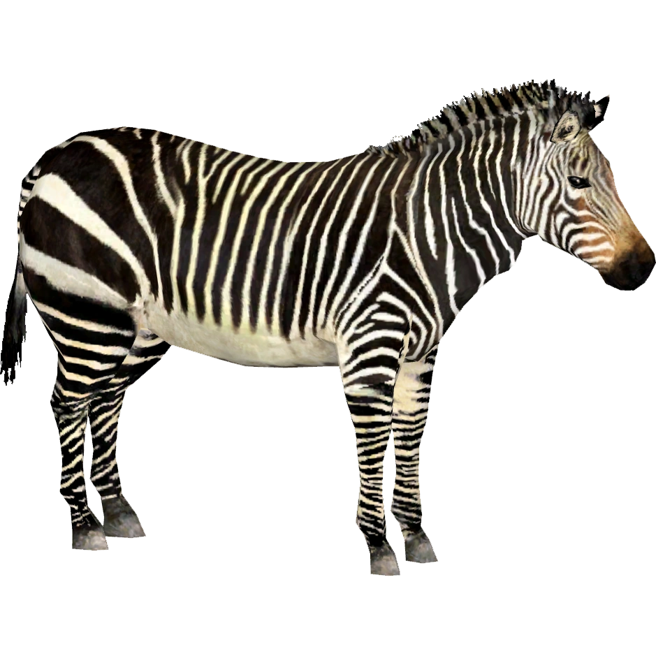 岩渕隆二のコブSpecial Lesson GZXCOWAN