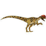 Dilophosaurus (Indra Budhi)