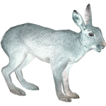 Mountain Hare (Ulquiorra)