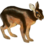 Sumatran Striped Rabbit (Whalebite)