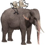 Elephant Tour (ZTABC Team)