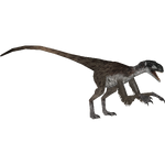 Ornitholestes (16529950)