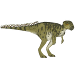 Psittacosaurus (Bunyupy)