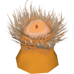 Antarctic Sea Anemone (Whalebite)