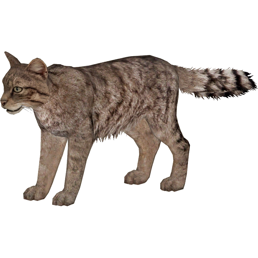 European Wildcat (HENDRIX) | ZT2 Download Library Wiki | Fandom