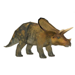 Torosaurus (Philly)