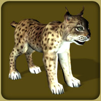 Zoo Tycoon 2: Endangered Species Demo : Blue Fang Games : Free Download,  Borrow, and Streaming : Internet Archive