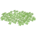 Salvinia rotundifolia (Eryel) (942 KB) Salvinia rotundifolia (Eryel)