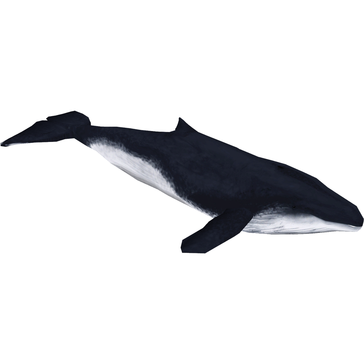 Southern Minke Whale (Artifex) | ZT2 Download Library Wiki | Fandom