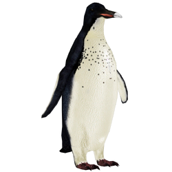 Category:Tundra Animals - Extinct | ZT2 Download Library Wiki | Fandom Category:Tundra Animals - Extinct | ZT2 Download Library Wiki | Fandom