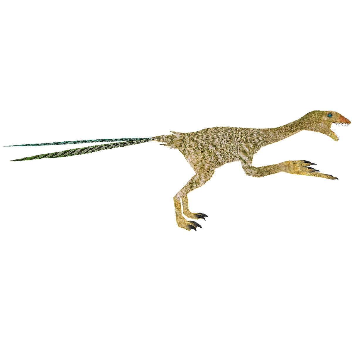 Epidexipteryx (Kingcobrasaurus) ZT2 Download Library Wiki Fandom