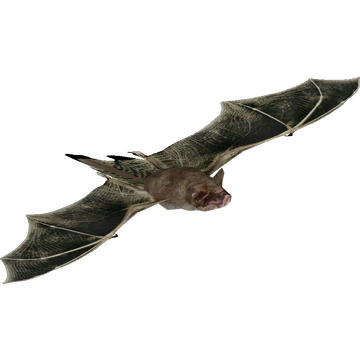 WCS™ Bat-Bird-Mammal Net