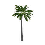 Arikury Palm (Fauna)