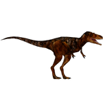 Nanotyrannus (Bunyupy & Ultamateterex2)