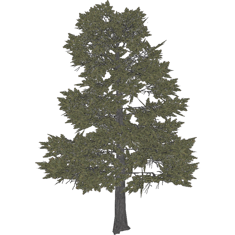 Antarctic Nothofagus (Demon Hunter) | ZT2 Download Library