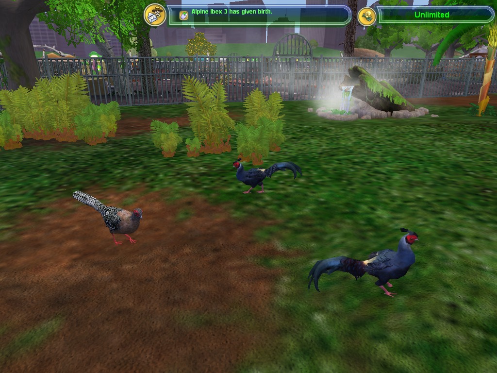 zoo tycoon 3 download full version