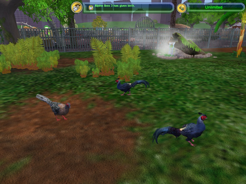 Siamang (Zoo Tycoon 2 World), ZT2 Download Library Wiki