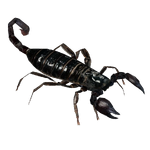 Emperor Scorpion (Ulquiorra)