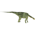 Nigersaurus (Andrew12)